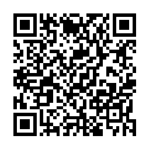 李思谌本来担心她要坐一天车时间难熬――实在是想多了二维码生成