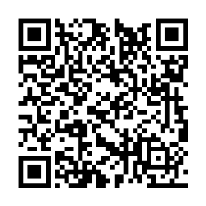 李思辰很快就给谭昙完成了止血消炎和包扎等处理二维码生成