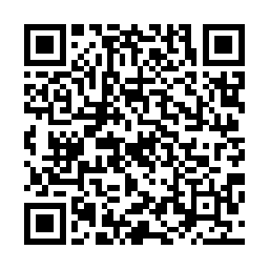 李旭东首先看见的就是他们提着那个一直未曾离身的双肩包二维码生成