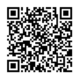 李火父亲的双手就这么伸在半空中与张远河擦肩而过二维码生成