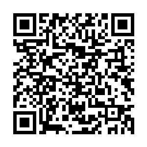 李熙抬头看着被如血的残阳照得一片鲜红的琉璃瓦二维码生成