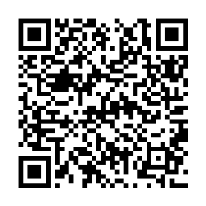 李玄机和司机根本就根本没看到容器和怪物的存在二维码生成