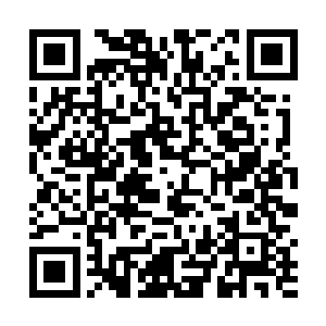 李耀在数据交互层面只能接触到一团团混乱不堪的漩涡二维码生成