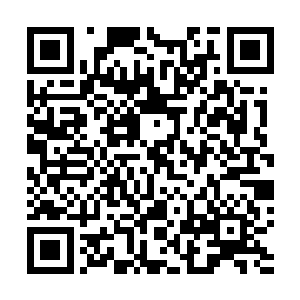 李耀拒绝了让自己控制的物种朝着巨大甲壳类的方向改变二维码生成