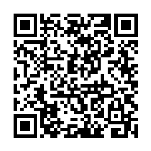 李耀通过伏羲的视角看到了厉嘉陵化作一道金色流光二维码生成