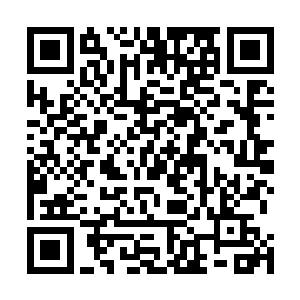 李老师此刻是完全相信这黑猫里的魂魄真是自己的儿子了二维码生成