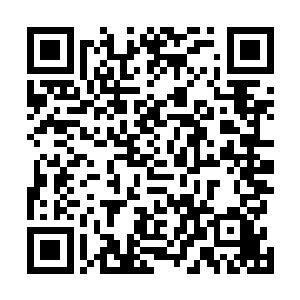 李谦收到了顺天电影学院摄影系的艺术加考考试过关证明二维码生成