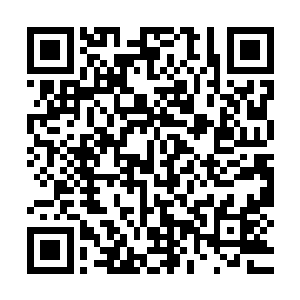 李锐刚心里有一个大概图谱――最先退出竞拍的肯定是empo基金二维码生成