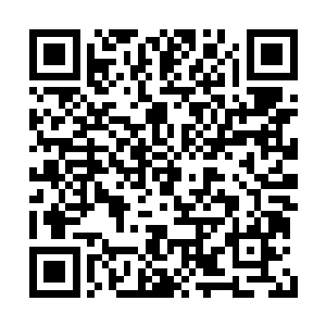 李锐忍不住伸手打出一个炼丹通用的启炉的法决二维码生成