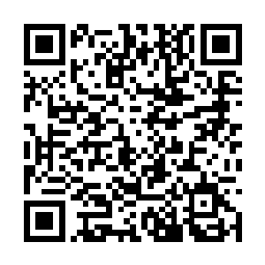 李锐拼命的回忆着自己脑海中关于炼丹的所有记忆二维码生成