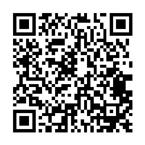 李锐随手拿起一块中品灵石与下品灵石对照了起来二维码生成