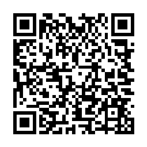 李鸾儿含了半晌才压住那种向外翻涌的恶心的感觉二维码生成