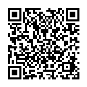 村庄中的十几名老弱之人在这里过的是极难的生活二维码生成