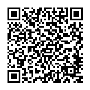 村民们压根就没想到所谓贼子就是从人群中趁乱轱辘辘跑过去的三个短腿熊孩子二维码生成
