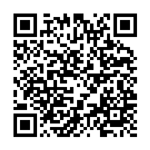 村民们因为刚刚才成功烧死了两具僵尸此刻不由得有些兴奋二维码生成