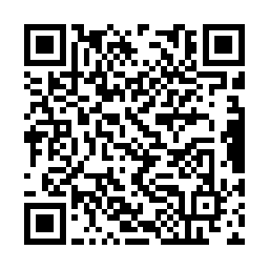 村里就有一个老木匠上山打木材时被大树给压死了二维码生成