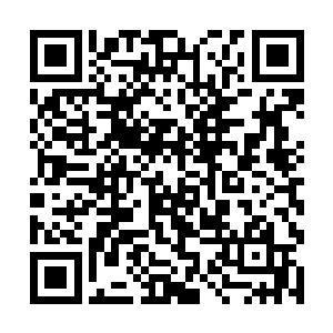 杜克不自觉的就想起了曾经的那个他经历的最后一年二维码生成