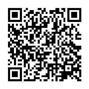 杜克忽然想起了前一世不多的参加电影节的经历二维码生成