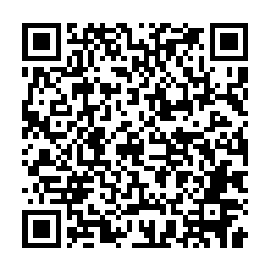 杜克通过这两部曲再次证明自己是一个值得全世界影迷为之疯狂的导演二维码生成