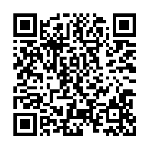 杜家和赵家的队伍里纷纷响起各种各样的议论声二维码生成