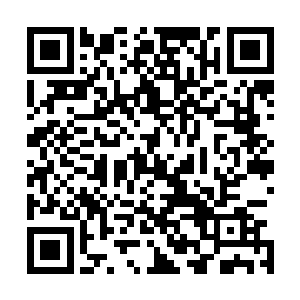 杜小冉现在倒也对秦风这些淡然的态度渐渐有些习惯了起来二维码生成