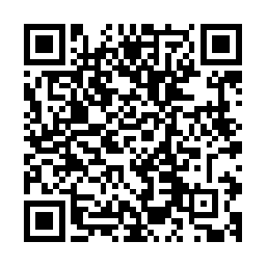 杜平县组织这个表演团到首尔來的主要目的不是为了参加表演二维码生成