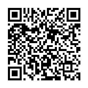 杜若希转身看着秦宇和年轻道士的身影已经快消失在迷雾深处了二维码生成