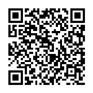 杜薇偷偷看了一眼在风暮寒身边听从调遣的青衣二维码生成