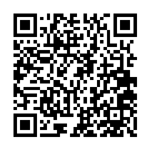 杜薇看着南王妃临走时的脸色心中隐隐觉得不妙二维码生成