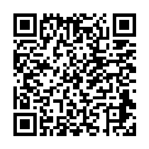 杜预已经位他预备了几乎所有常见的解毒草药和器具二维码生成