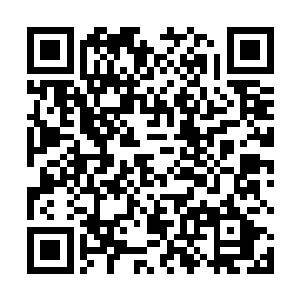 杜预硬生生放弃了又砍到巴博萨脖子上的一记狂风刀法二维码生成