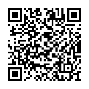 来之前还以为力莲是冻着了或者吃坏了什么东西二维码生成