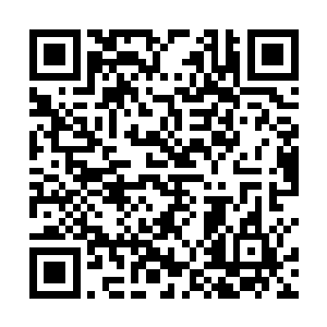 来人不是别人正是龙傲天的师尊逍遥天尊和小金的父亲二维码生成