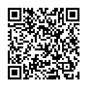 来传话的公公可有说皇上是因为什么事要传唤我们进宫二维码生成