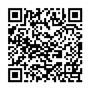 来到战馆的有钱人觉得打沙包起不到锻炼的作用二维码生成