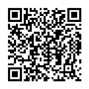 来回找了两遍的华夏军士兵才在这处视野的盲区找到了她二维码生成