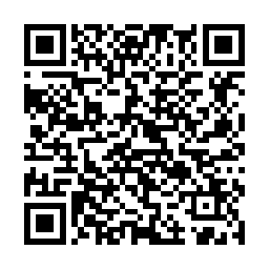 来来回回巡逻的东方世家下人竟然没有一人将其发现二维码生成