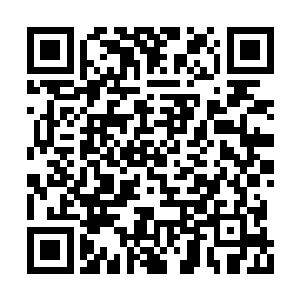 来来往往忙碌的工作人员顾不得薄荷紧张的情绪二维码生成