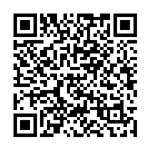 来的人是太阳帝国的公爵和太阳帝国的高级炼丹师二维码生成