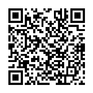 来的时候两个小家伙也是要去看两个新生的小弟弟二维码生成