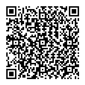 来自全国各地大大小小一百六十余家的媒体记者们此时正坐在自己的位子上等待宇天等人的到来二维码生成
