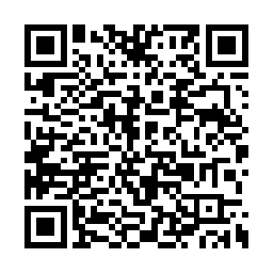 来自冲云殿的那位炎陵长老比盈盈还要强上几分二维码生成