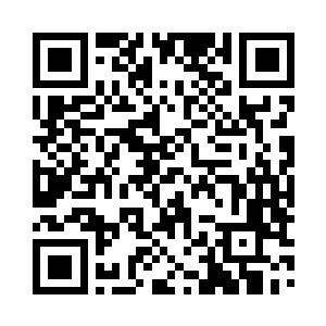 来自宝岛的解说长毛才一出现在大屏幕上二维码生成