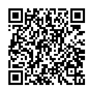 来自沉睡的自然古神的伟力依然在庇佑这片土地二维码生成