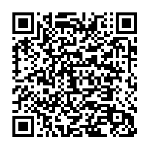 来自白河谷地的马文男爵因为他精湛的刀法进入了南方贵族们的视野中二维码生成