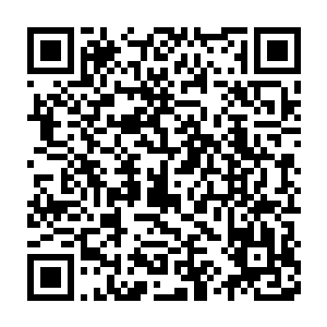 来自魔元界的妖兽或多或少都是被一种源自魔元界的可怕魔气所感染二维码生成