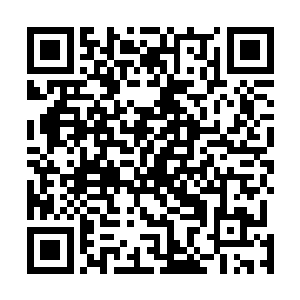 来自龙珠的那一丝丝清清凉凉的感觉在肺部游走了一圈后二维码生成