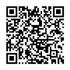 来这里的佣人不但需要经过层层的笔试面试培训二维码生成