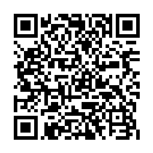 杨一和曼拉两人分别作为两大势力的先天境头领二维码生成