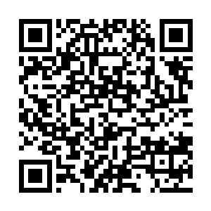 杨九的千门秘术惑心咒自然也是被强行破解了……甚至于二维码生成